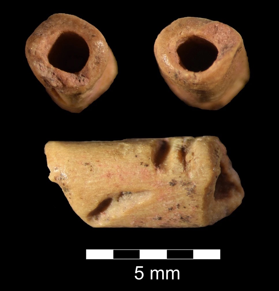 Is This Bone Bead the Oldest of its Kind Ever Discovered?