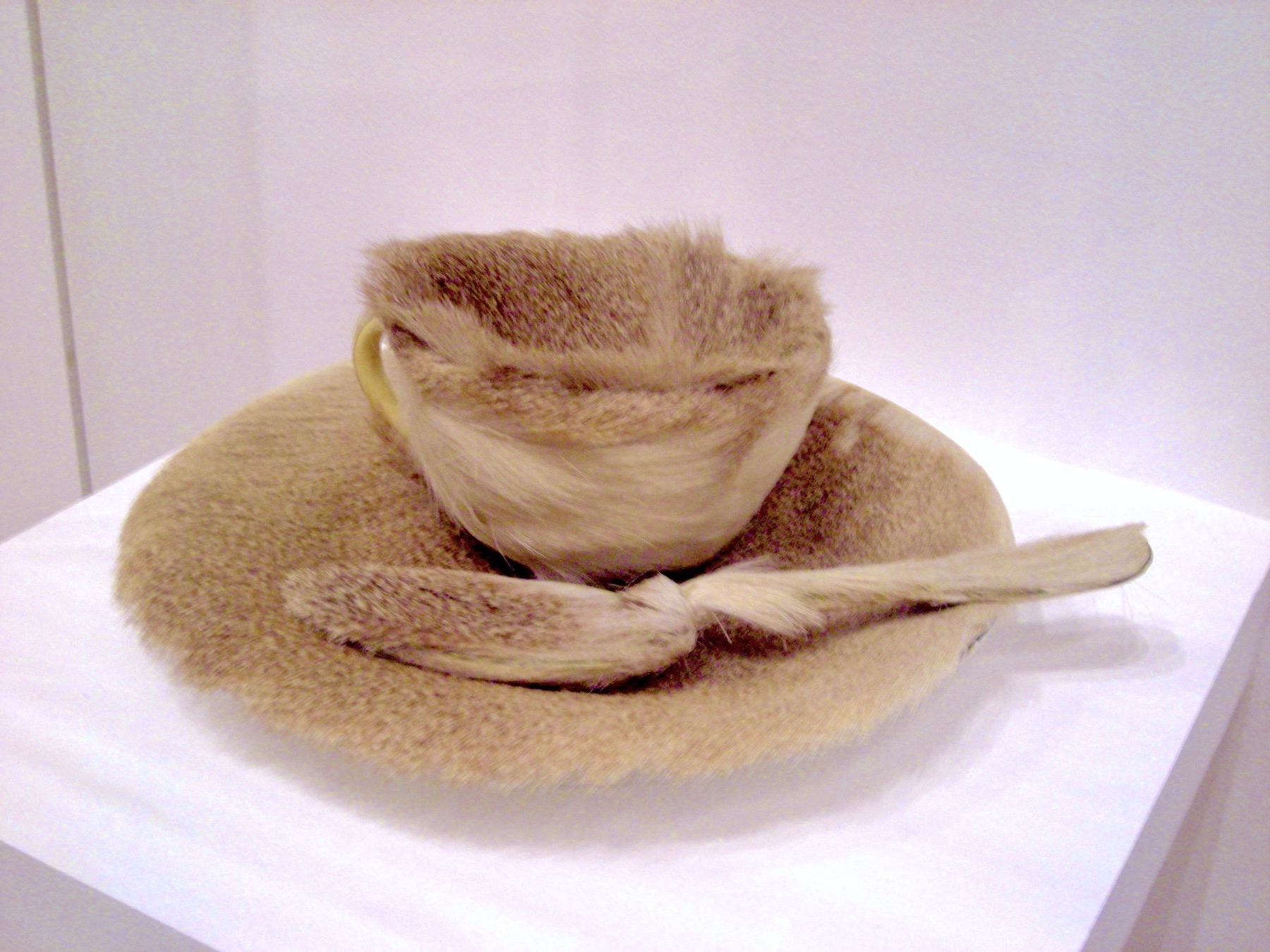 Why Meret Oppenheim