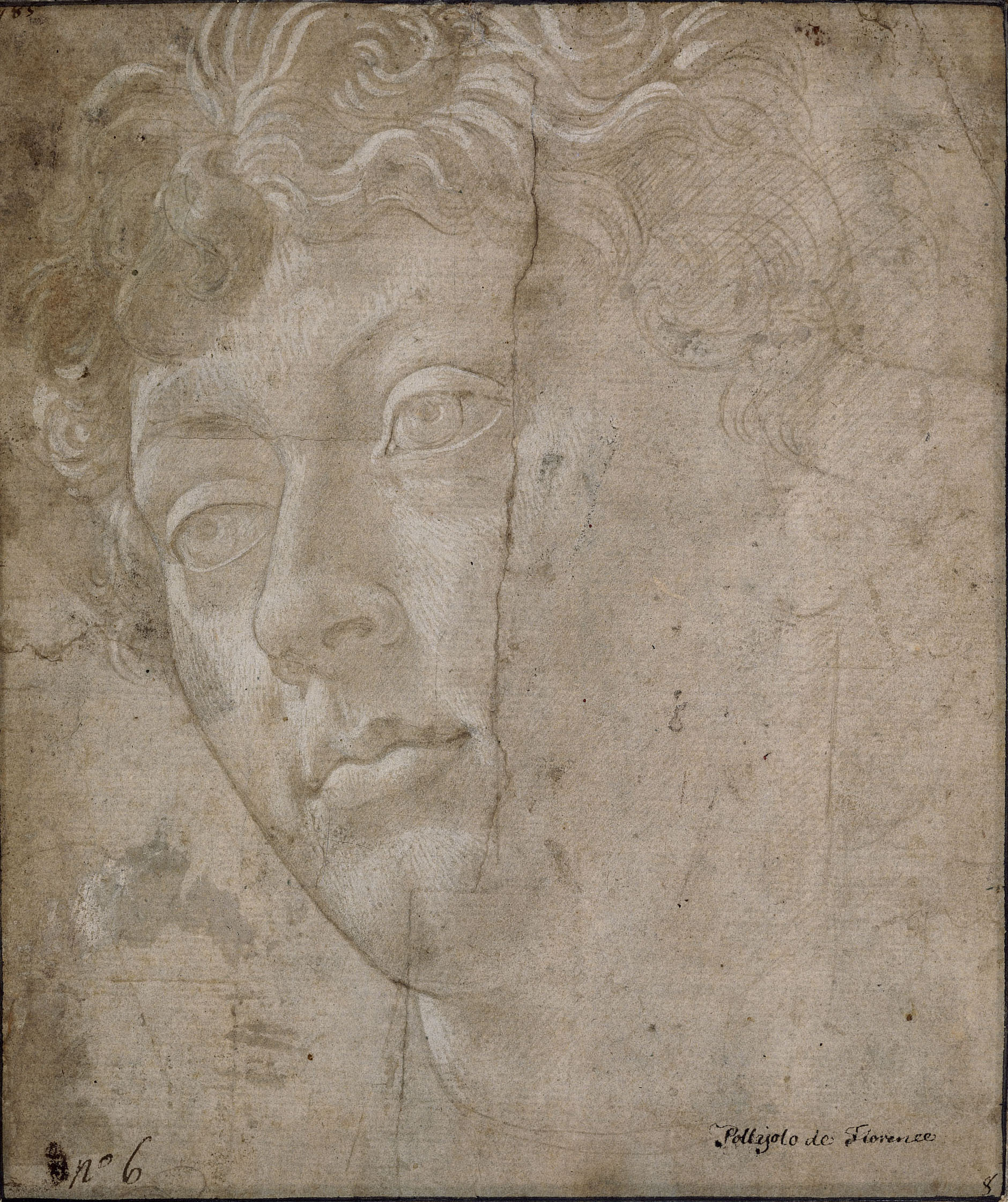 Drawings Newly Attributed to Sandro Botticelli Get the