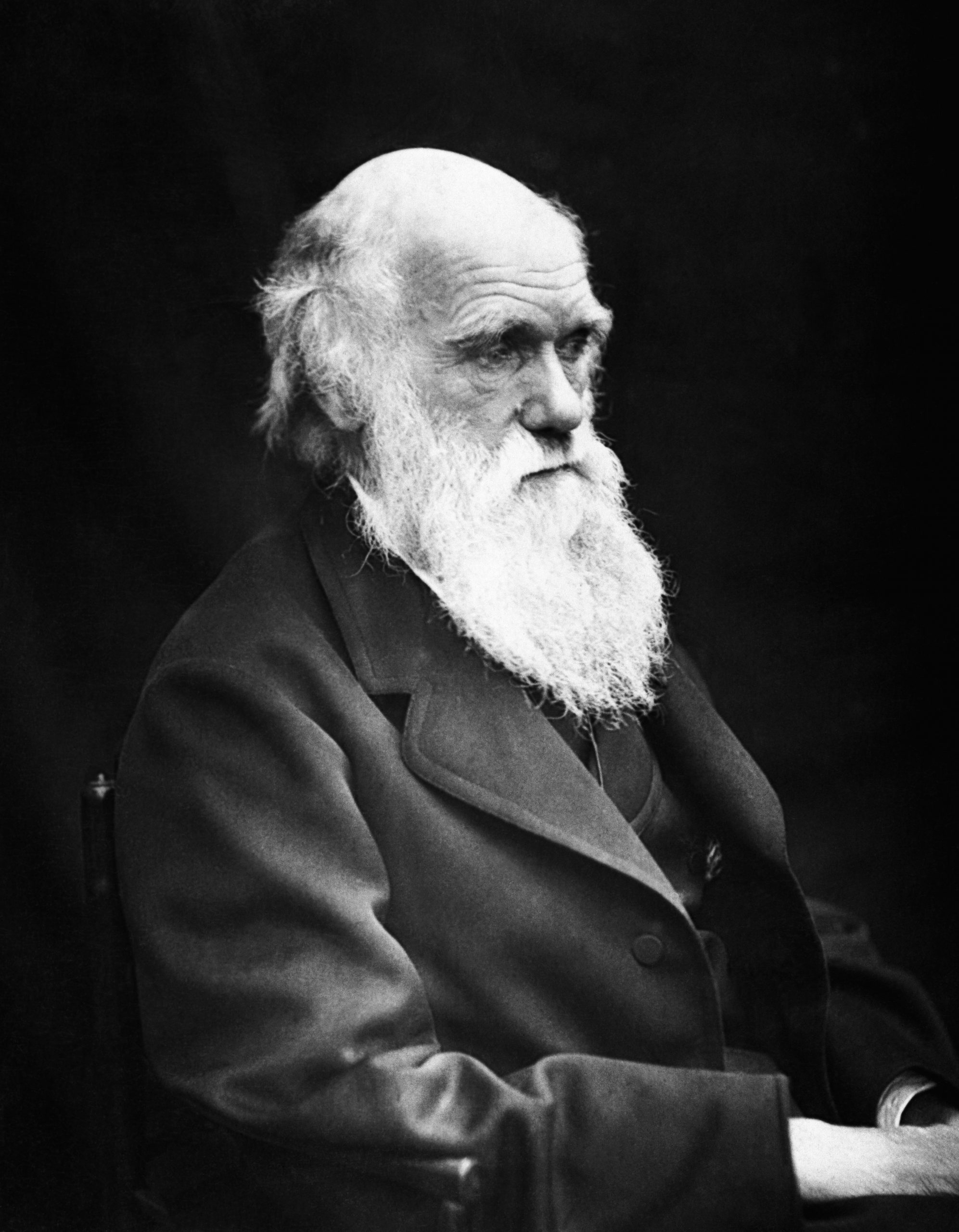 Darwin Library Charles Darwin’s Personal Library of 13,000 Books Revealed for the ...
