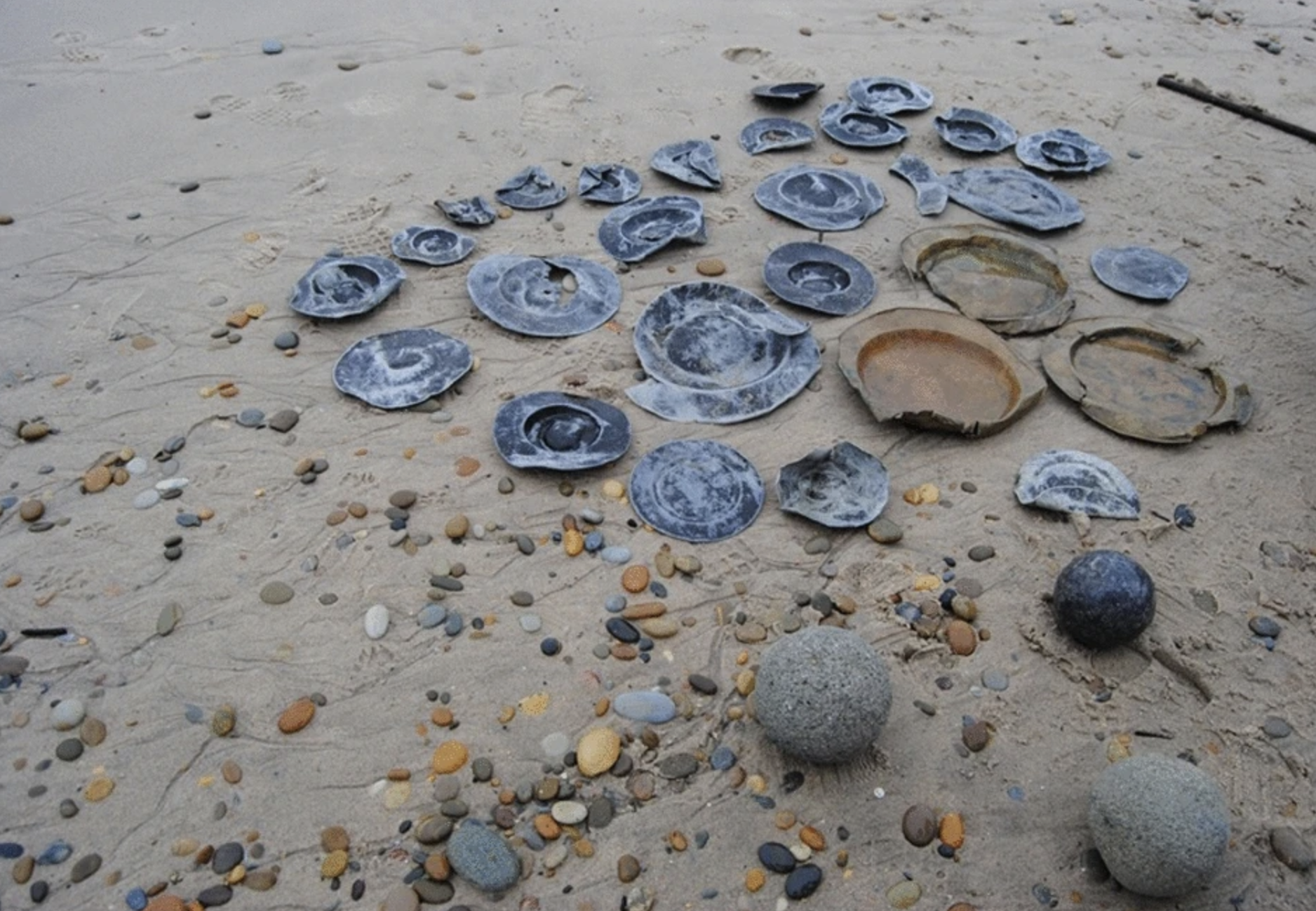A New Study on a 16th-Century Shipwreck in Portugal Reveals Its Valuable Cargo - Vimarsana News