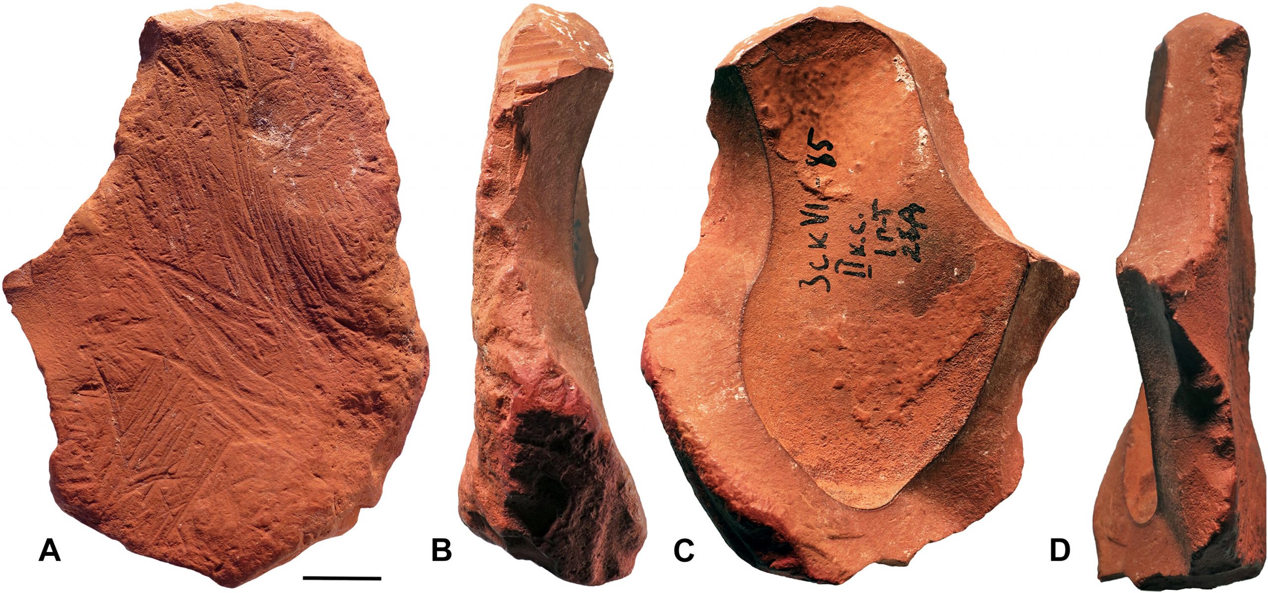 【タランチュラ】R.Stones Archives Pathfinder Were Neanderthals Artists? Ochre Fragments Reveal Signs of