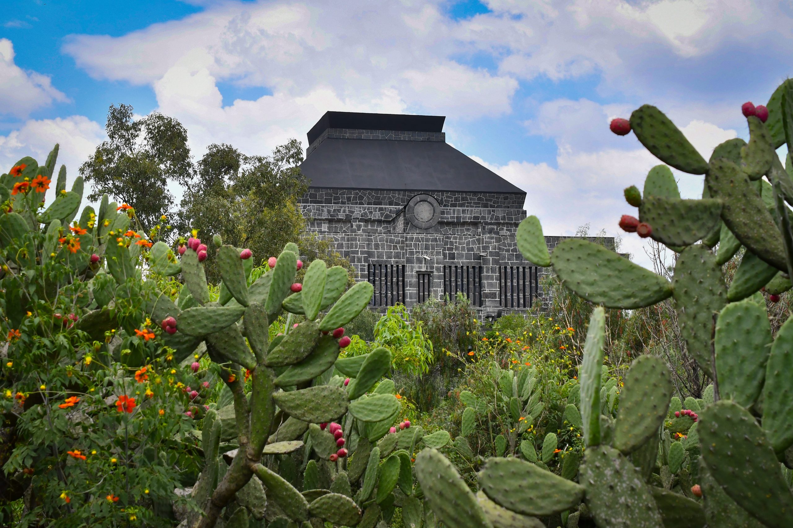 5 Museums That Map Mexico City, From Ancient Ruins to Reinvention