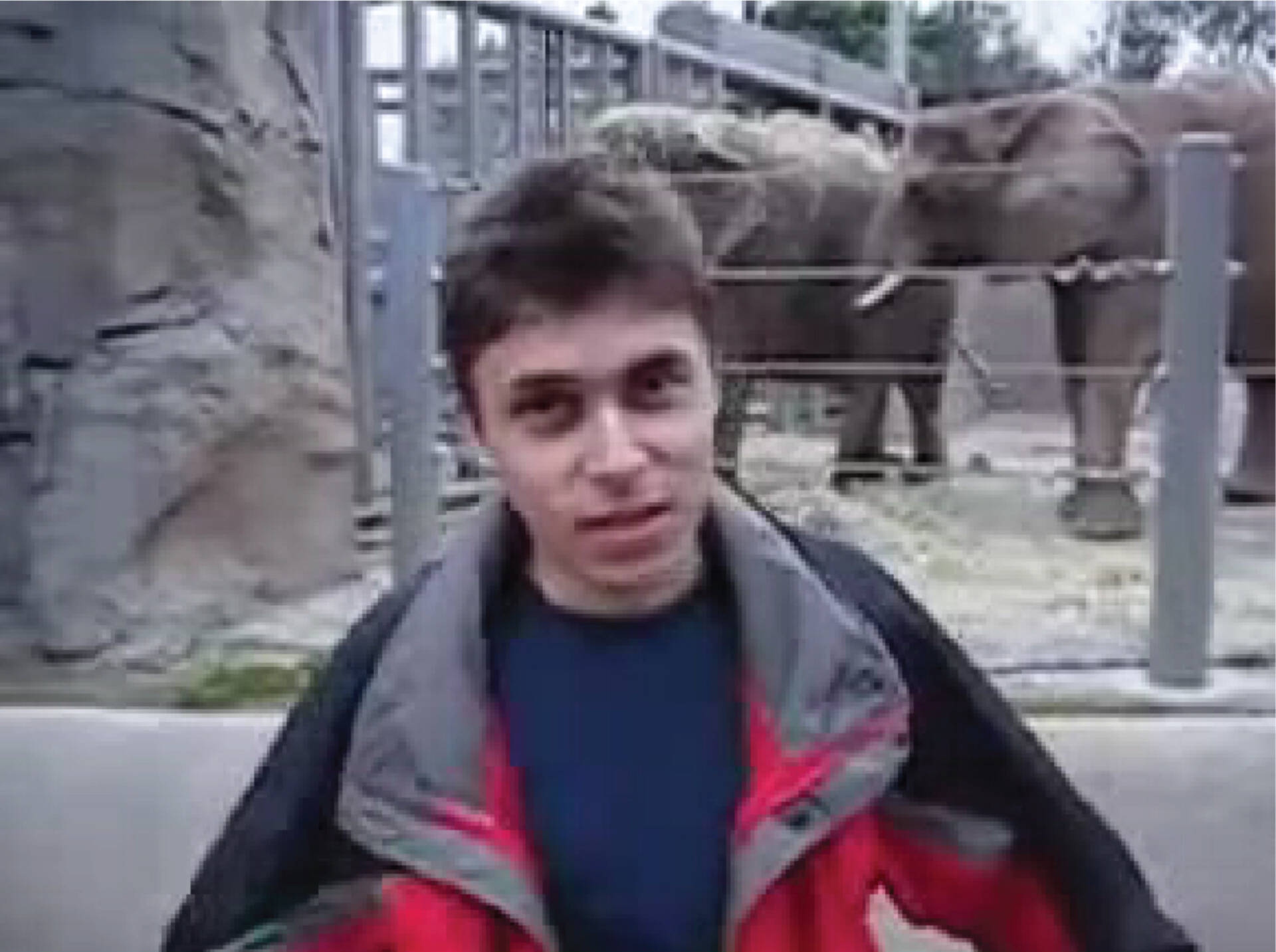 YouTube's First Video Acquired by London's V&A | Artnet News