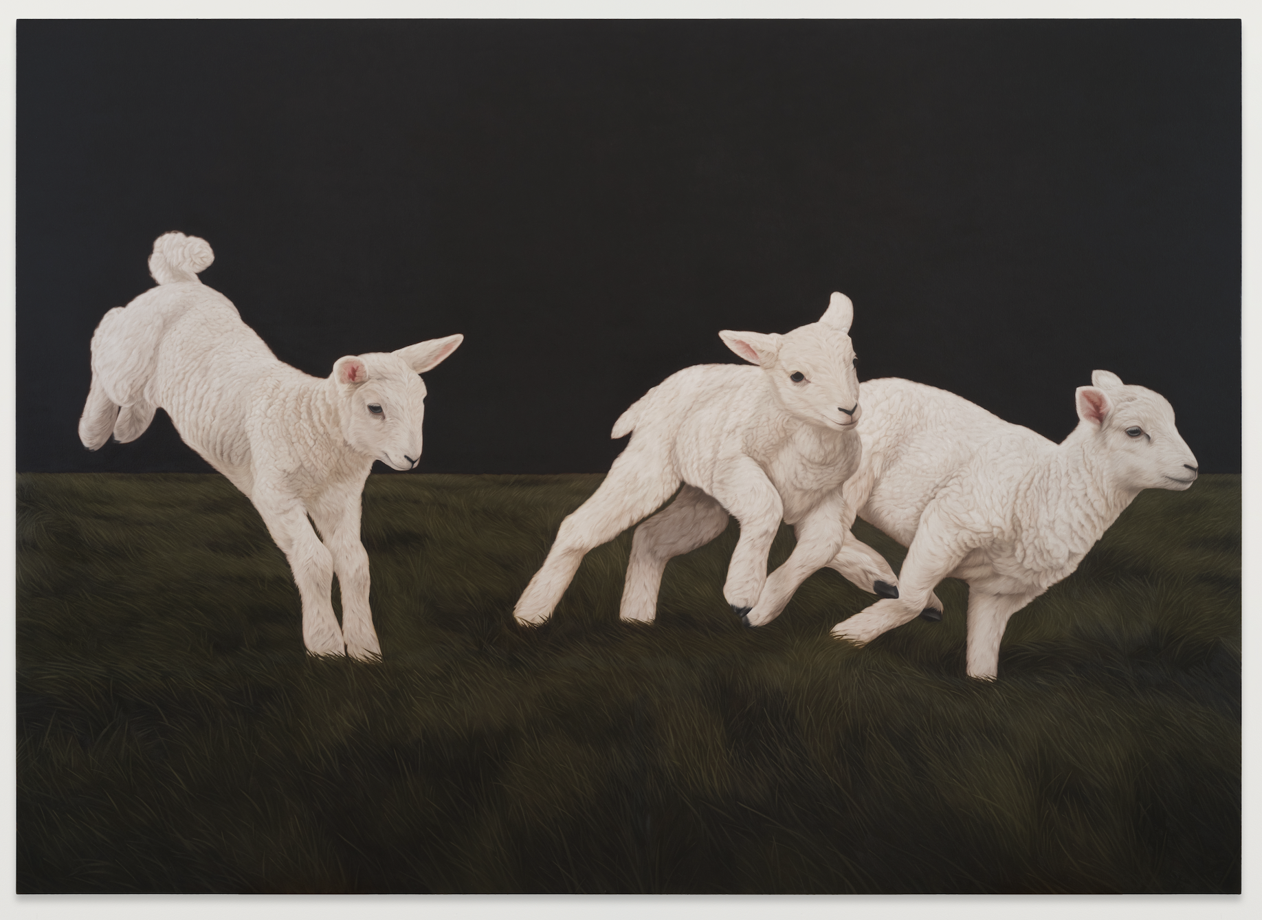 Meghann Stephenson, Queen of the Neighborhood!, 2026. Photo: Half Gallery